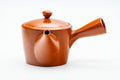 Three-quarter view of the teapot showing the side handle.