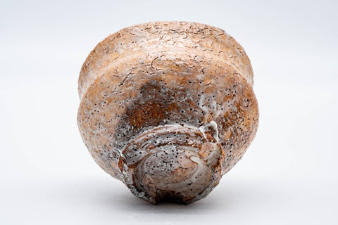 Japanese Matcha Bowl - 都野栖雲 Tsuni Seiun - Biwa-iro Glazed Hagi-yaki Chawan - 300ml