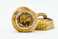 Three-quarter view of the open kogo showing the gilded floral decoration.