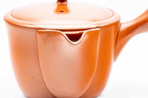 Tezumi — Japanese Kyusu - Plum Blossom Engraved Tokoname-yaki Mesh Teapot - 300ml — closeup of the decoration