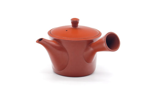 Tezumi — Japanese Kyusu - Bamboo Engraved Tokoname Mesh Teapot - 260ml — side view showing the spout