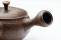 Three-quarter view showing the spout and the rough-textured brown clay.