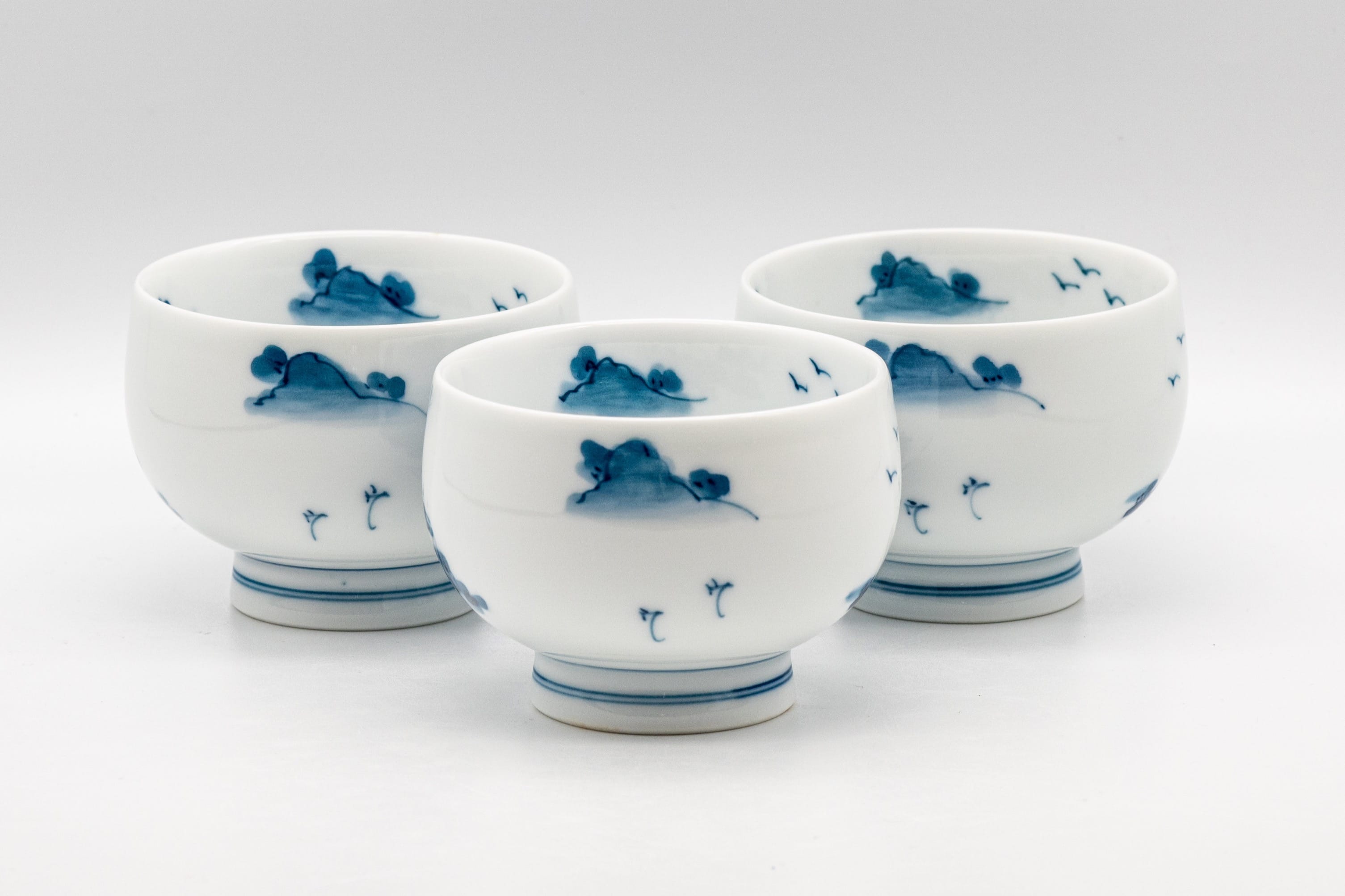 Japanese Tea Set - 畑萬陶苑 Arita-yaki Porcelain Debeso Kyusu with 3 Wan-nari Yunomi - 420ml
