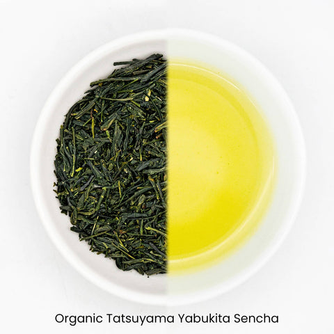 First Class Sencha Tea Flight