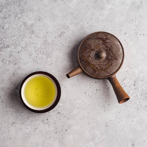 Mogake Seaweed Yakishime Tokoname Teapot - 110ml