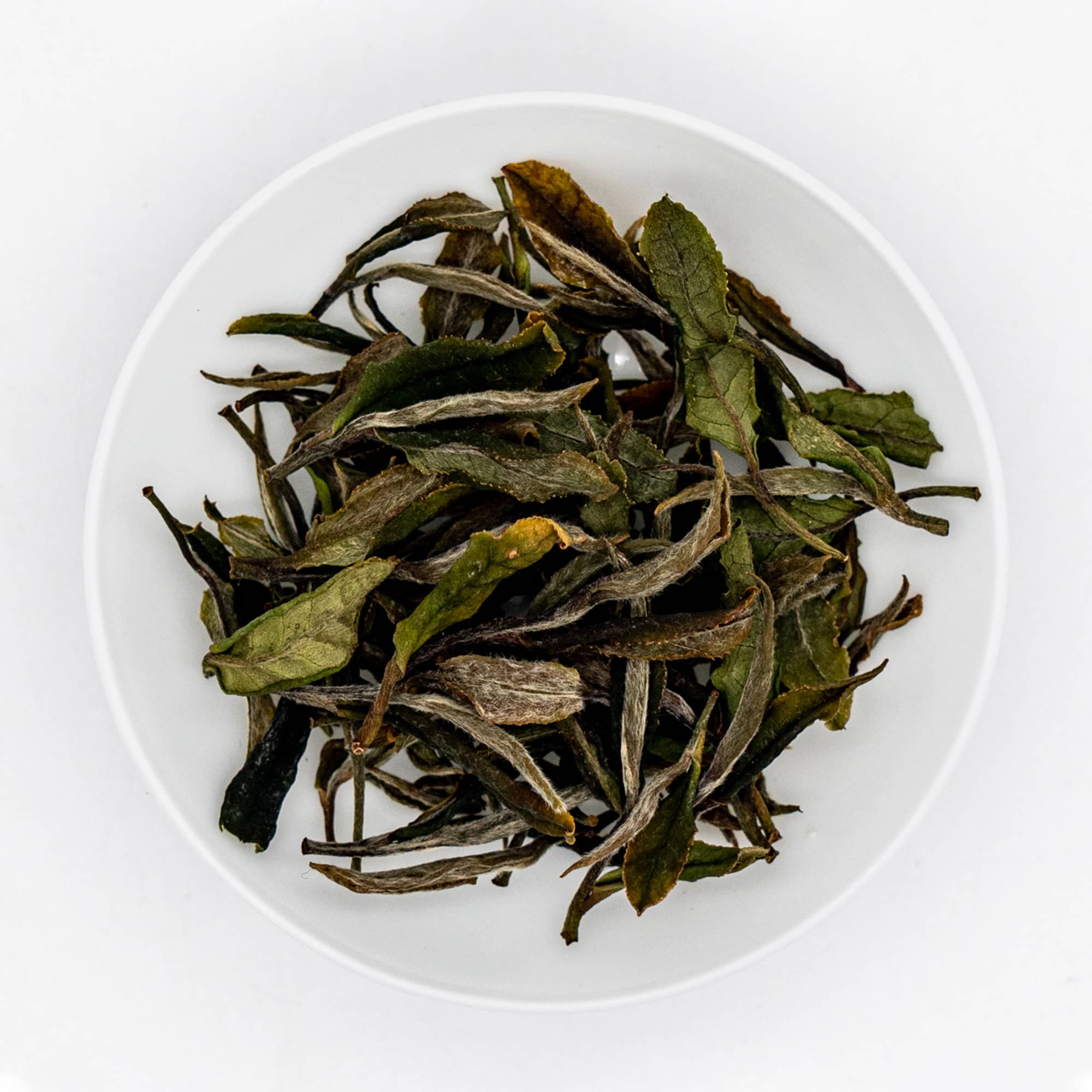 Wazuka Premium Zairai White Tea