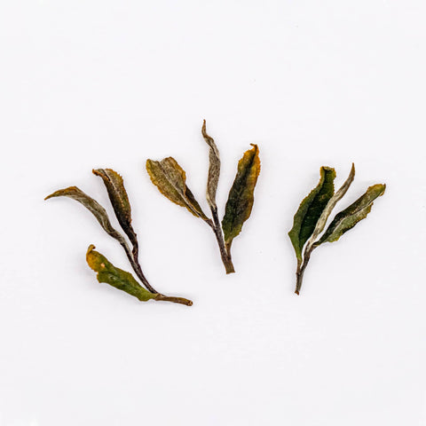 Wazuka Premium Zairai White Tea