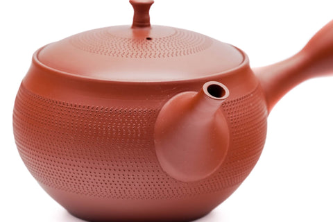 Dotted Red Shudei Tokoname Teapot - 270ml