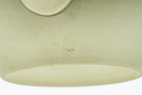 Japanese Kyusu - Green Tea Leaves Tokoname-yaki Obi-ami 360 Filter Teapot - 250ml