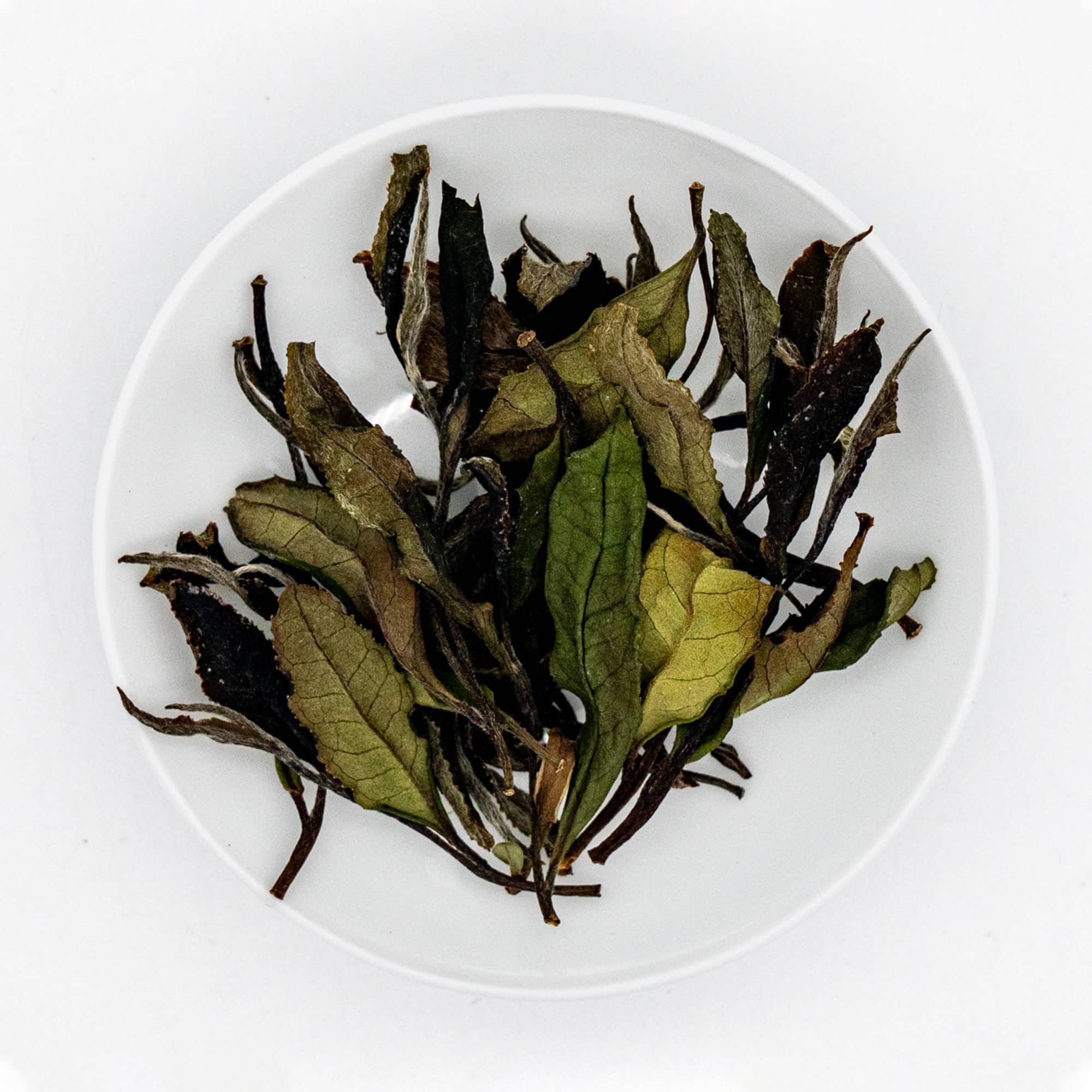 Wazuka Zairai White Tea