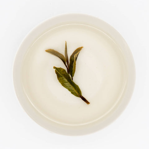 Wazuka Zairai White Tea