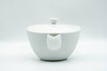 Japanese Houhin - Floral Engraved Arita-yaki Ceramic Filter Porcelain Teapot - 230ml - side view of the houhin