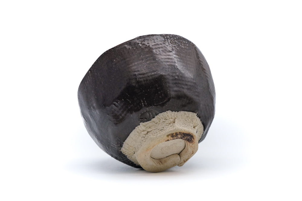 Nagayanagi Kousei Tokoname Chawan