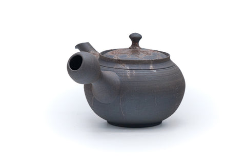 Mogake Yakishime Tokoname Teapot - 210ml