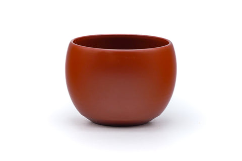 Japanese Teacup - Camellia Engraved Tokoname Yunomi - 110ml