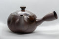 Tezumi — Japanese Kyusu - Banko-yaki Ceramic Teapot - 250ml — three-quarter view