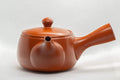 Tezumi — Japanese Kyusu - Large Kanji Tokoname-yaki Ceramic Teapot - 260ml — three-quarter view from the opposite side