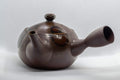 Tezumi — Japanese Kyusu - Banko-yaki Ceramic Teapot - 250ml — three-quarter view from the opposite side