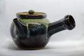 Tezumi — Japanese Kyusu - Large Koishiwara-yaki Ceramic Teapot - 525ml — three-quarter view