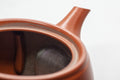 Tezumi — Japanese Kyusu - Large Kanji Tokoname-yaki Ceramic Teapot - 260ml — closeup of the decoration