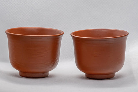 Japanese Teacups - Set of 2 Plum Blossom Tokoname-yake Yunomi - 100ml
