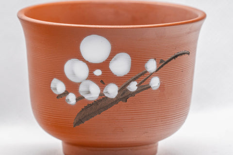 Japanese Teacups - Set of 2 Plum Blossom Tokoname-yake Yunomi - 100ml