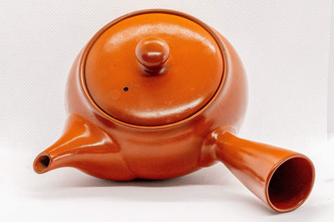 Tezumi — Japanese Kyusu - Tokoname-yaki Ceramic Teapot with Mesh Strainer - 300ml — side view showing the spout