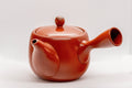 Tezumi — Japanese Kyusu - Tokoname-yaki Ceramic Teapot with Mesh Strainer - 300ml — side view with the lid and side handle