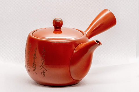 Tezumi — Japanese Kyusu - Tokoname-yaki Ceramic Teapot with Mesh Strainer - 300ml — side view showing the spout