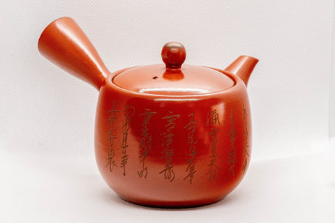 Tezumi — Japanese Kyusu - Tokoname-yaki Ceramic Teapot with Mesh Strainer - 300ml — three-quarter view