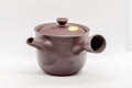Japanese Kyusu - Tall Banko-yaki Ceramic Teapot - 170ml - three-quarter view showing the spout and lid