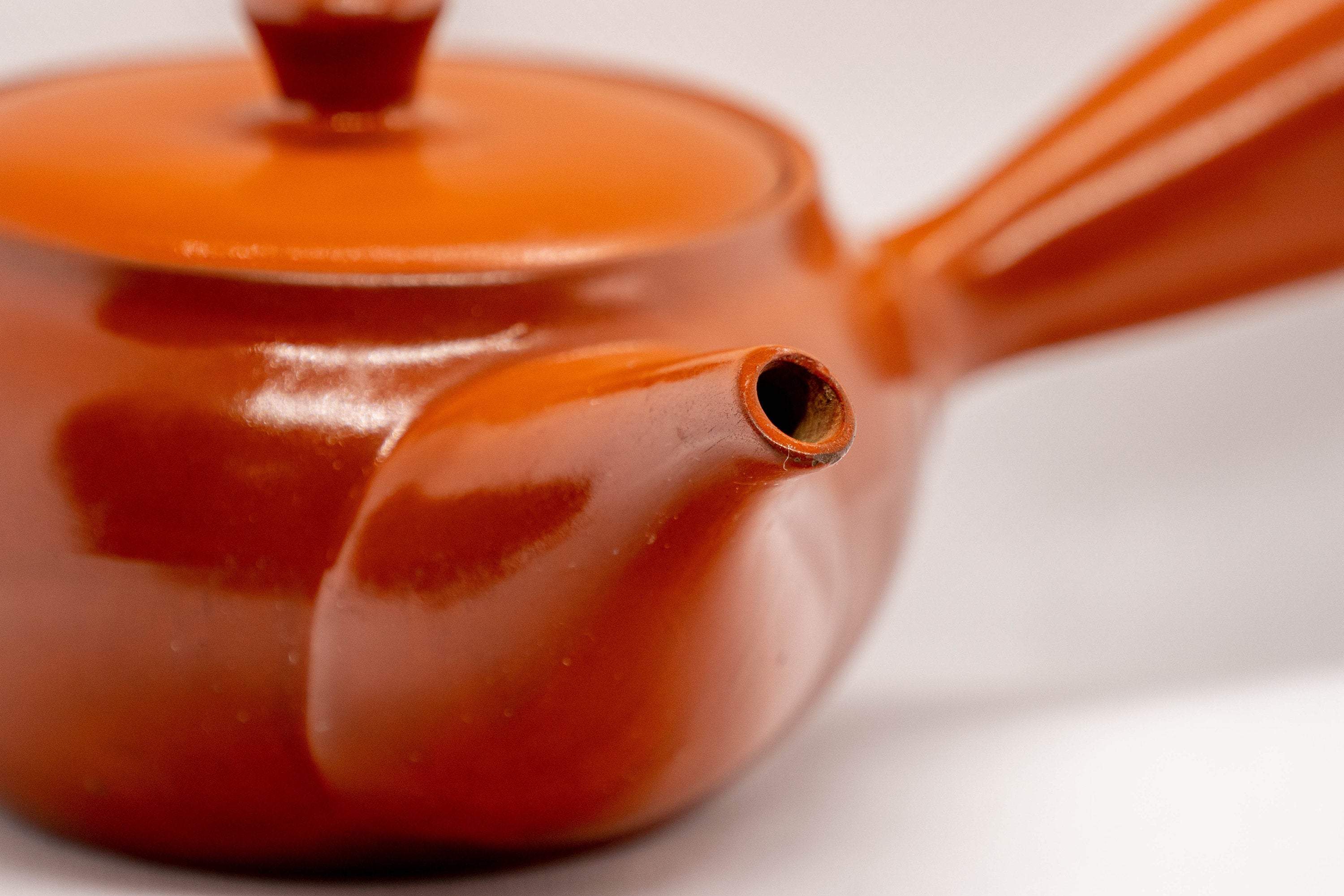 Japanese Kyusu - Tokoname-yaki Ceramic Teapot with Mesh Strainer - 300ml - Tezumi