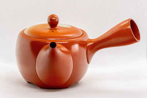 Japanese Kyusu - Red Shudei Tokoname-yaki Ceramic Teapot with Mesh Strainer - 350ml - Tezumi