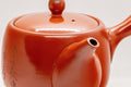Tezumi — Japanese Kyusu - Tokoname-yaki Ceramic Teapot with Mesh Strainer - 300ml — interior view showing the filter