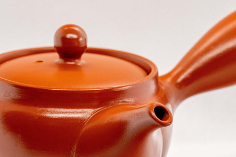 Japanese Kyusu - Floral Engraved Red Shudei Tokoname-yaki Ceramic Teapot - 300ml - Tezumi