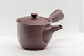 Japanese Kyusu - Tall Banko-yaki Ceramic Teapot - 170ml - side view with the handle to the right and spout to the left