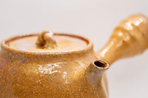 Tezumi — Japanese Kyusu - Maru-gata Hagi-yaki Do-ake Teapot - 350ml — interior view showing the filter