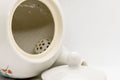 Tezumi — Japanese Kyusu - White Porcelain Teapot with Elegant Persimmon Decoration - 250ml — interior view showing the filter