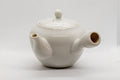 Tezumi — Japanese Kyusu - White Porcelain Teapot with Elegant Persimmon Decoration - 250ml — side view showing the spout