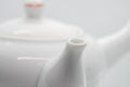 Tezumi — Japanese Kyusu - Persimmon Porcelain Arita-yaki Debeso Teapot - 315ml — closeup of the decoration