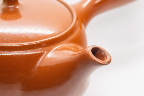 Japanese Kyusu - Floral Red Shudei Tokoname-yaki Ceramic Teapot - 300ml - Tezumi