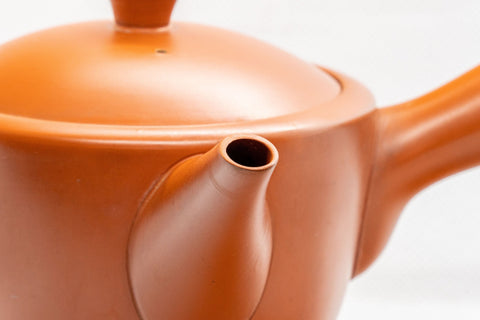 Japanese Kyusu - 煌堂 Koudo Morita Kanji Bamboo Tokoname-yaki Debeso Teapot - 480ml