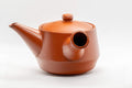 Japanese Kyusu - Mountainous Tokoname-yaki Debeso Teapot - 280ml - Tezumi