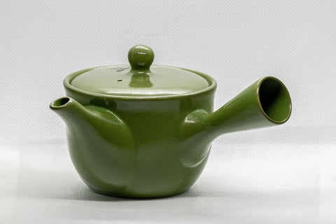 Japanese Kyusu - Floral Green Tokoname-yaki Teapot - 250ml - Tezumi