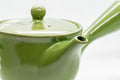 Japanese Kyusu - Floral Green Tokoname-yaki Teapot - 250ml - Tezumi