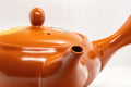 Tezumi — Japanese Kyusu - Tokoname-yaki Obi-ami Teapot - 375ml — closeup of the base