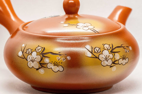 Tezumi — Japanese Kyusu - Tokoname-yaki Obi-ami Teapot - 375ml — closeup of the decoration