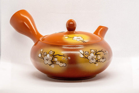 Tezumi — Japanese Kyusu - Tokoname-yaki Obi-ami Teapot - 375ml — three-quarter view