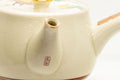 Japanese Kyusu - Camellias Kutani-yaki Debeso Teapot - 550ml - Tezumi