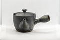 Japanese Kyusu - Matte Black Soko-ami Teapot - 175ml - Tezumi